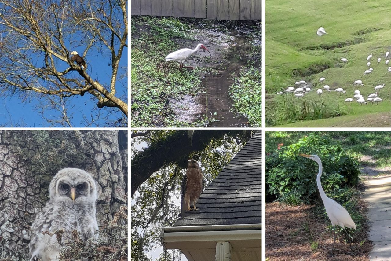 16 N Basilica Avenue Photo 49