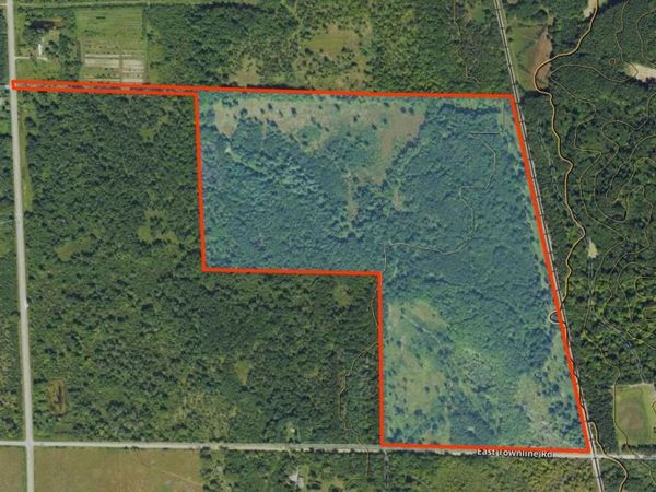 V/L 118A E Townline Road, Free Soil, MI 49411