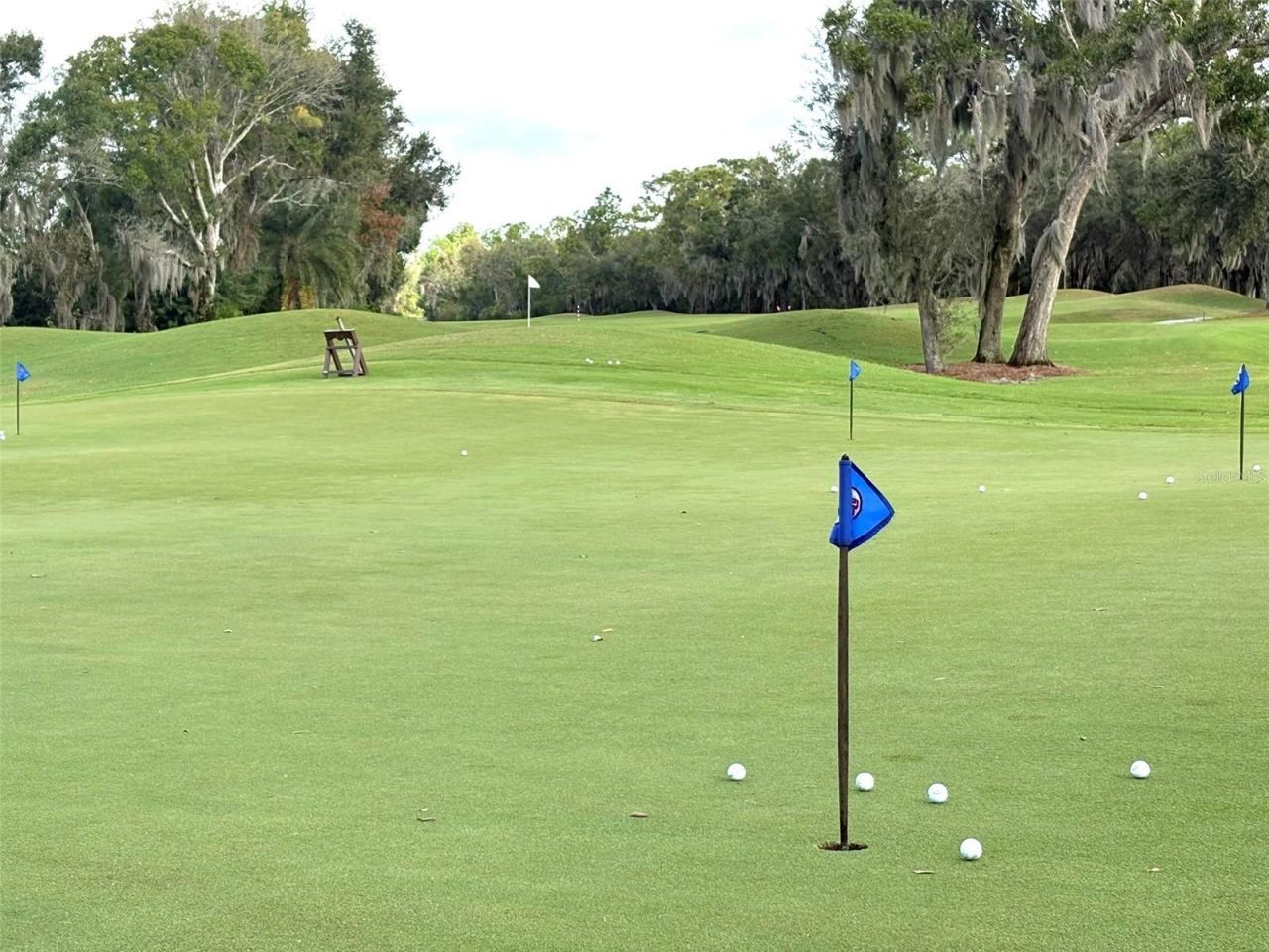 10124 Marbella Drive, Bradenton, FL 34211 Photo