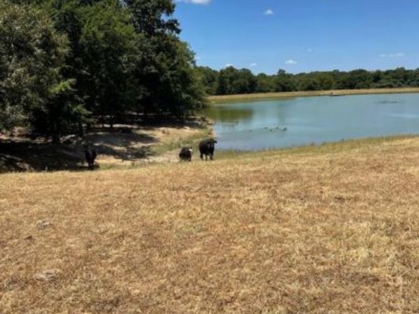 8910 Hwy 59 Highway , Athens, TX 75751