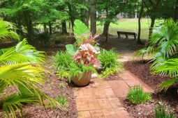 407 S Elgin Court photo 4