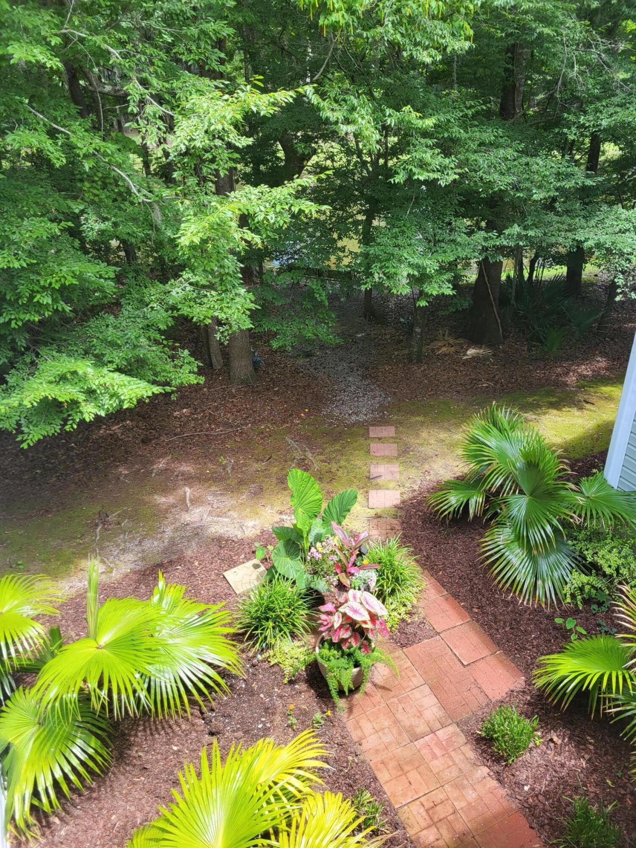 407 S Elgin Court Photo 6