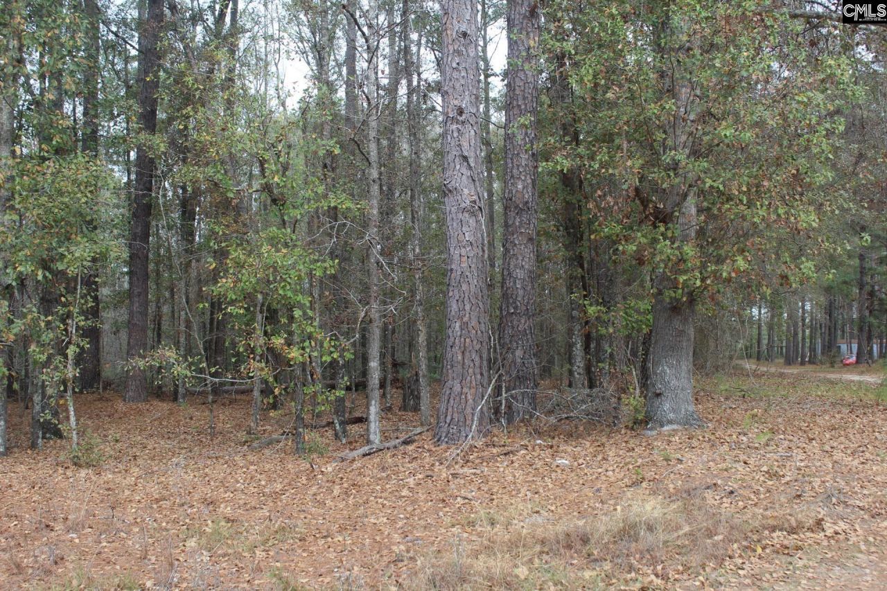 220 Ivory Street Photo 10