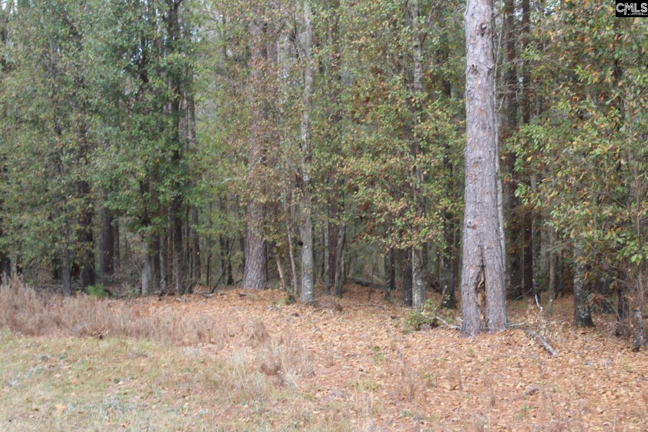 220 Ivory Street Photo 12