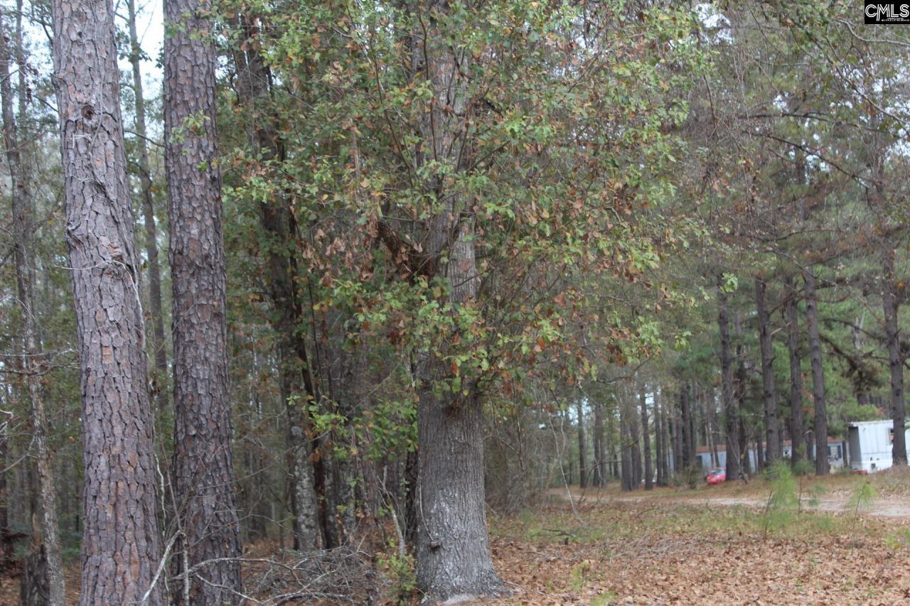 220 Ivory Street Photo 14