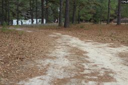 220 Ivory Street photo 4