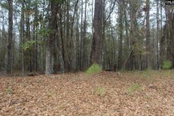 220 Ivory Street photo 4