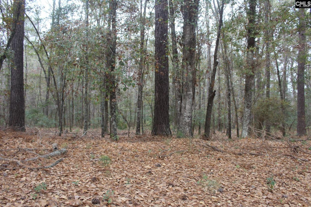 220 Ivory Street Photo 4