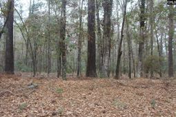 220 Ivory Street photo 4