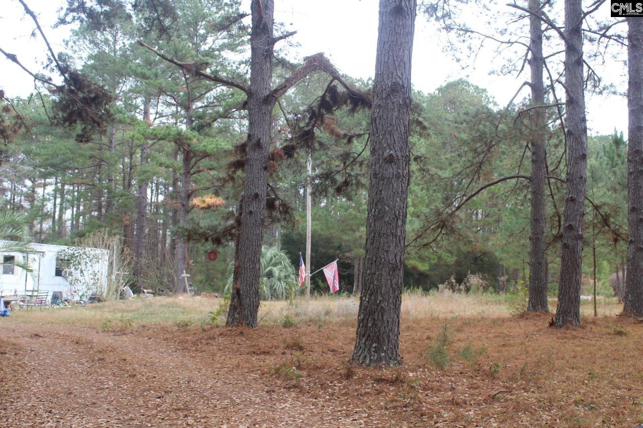 220 Ivory Street Photo 6