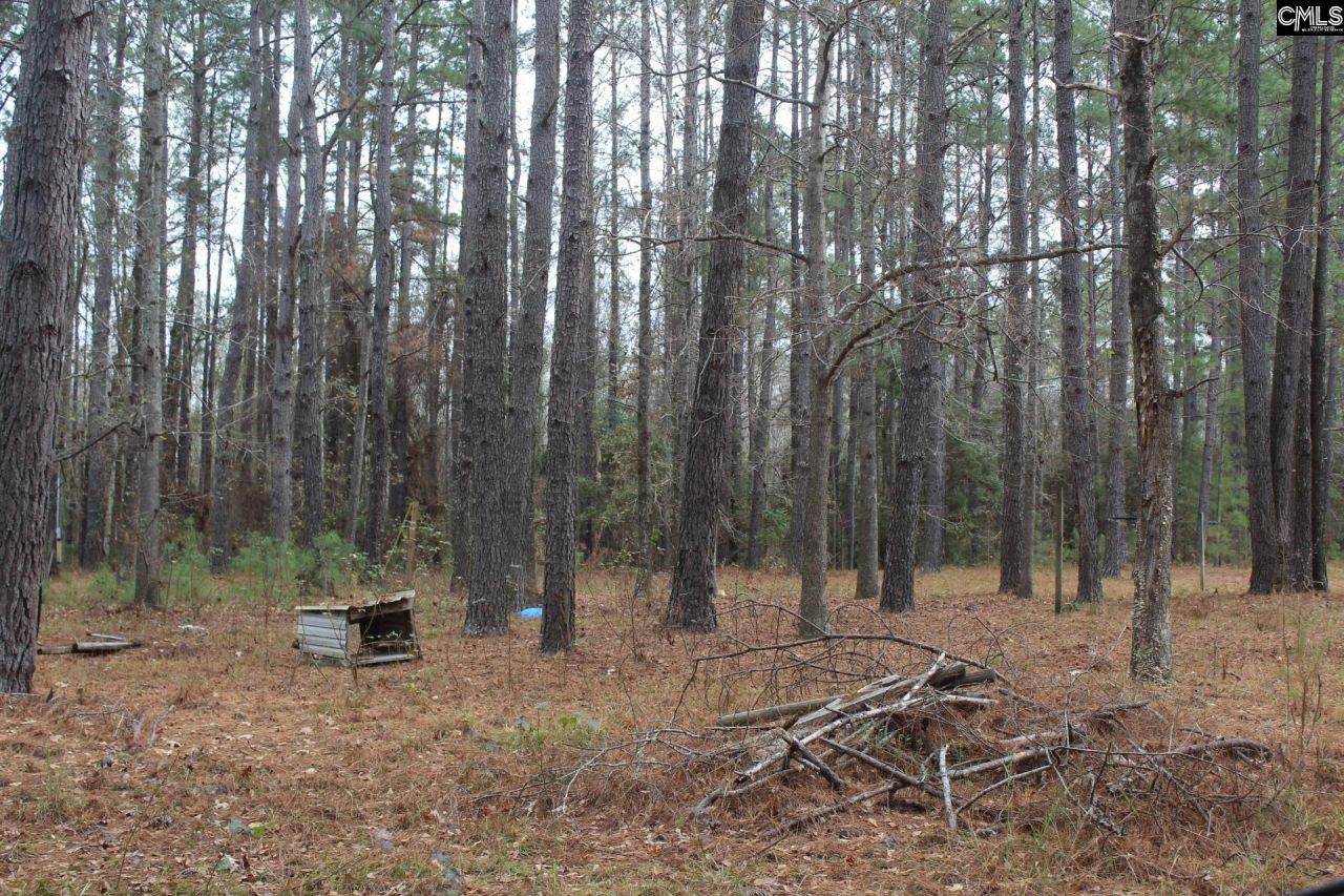 220 Ivory Street Photo 9