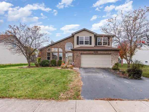 25308 S Mallard Drive, Channahon, IL 60410