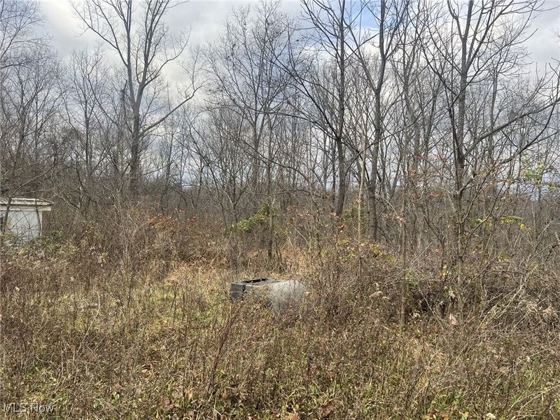 231 & 265 Big Oak Road, Malta, OH 43787 Photo 2