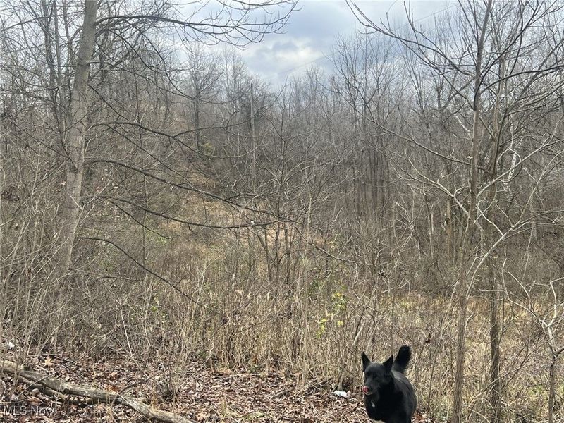 231 & 265 Big Oak Road, Malta, OH 43787 Photo 4