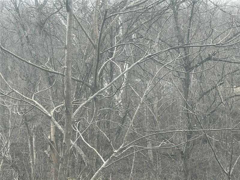 231 & 265 Big Oak Road, Malta, OH 43787 Photo 5