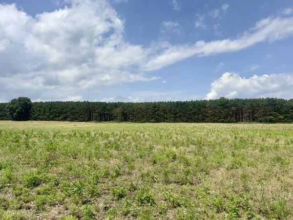 0 Seymour Road, Unit Parcel F, Grass Lake, MI 49240