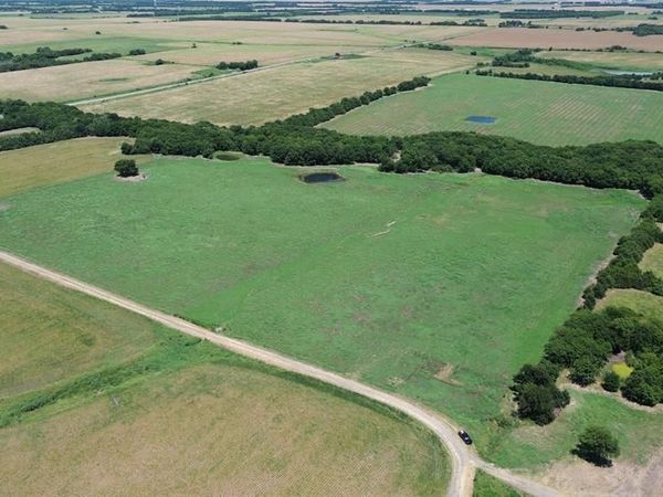 TBD CR 3140, Cooper, TX 75432