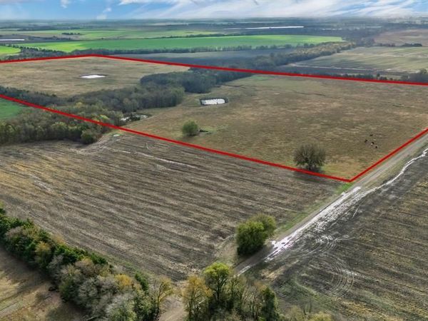 TBD CR 3140, Cooper, TX 75432