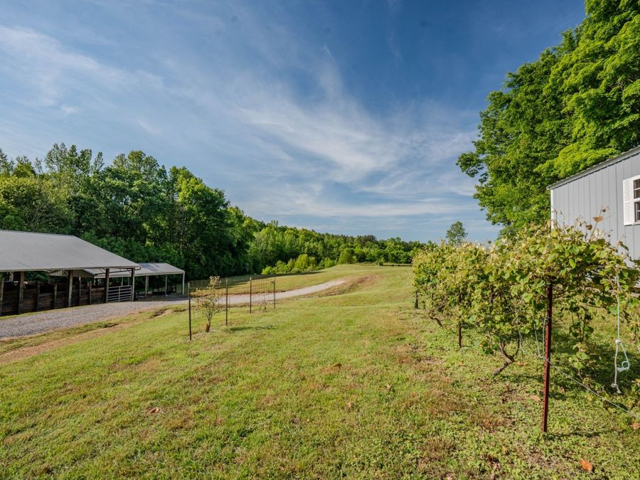 Property Image 38