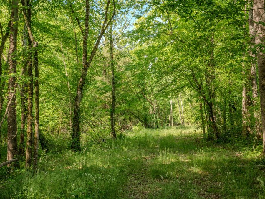 Property Image 65