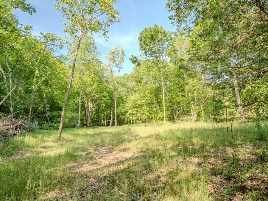 Property Image 67
