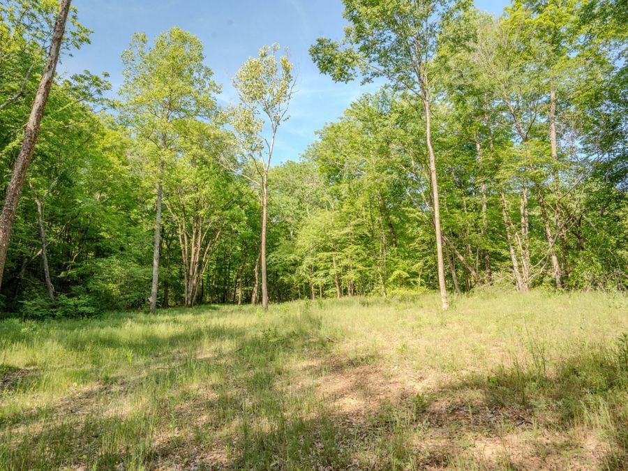 Property Image 68