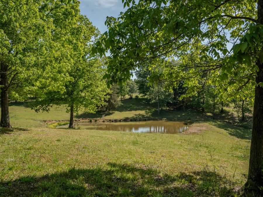 Property Image 82