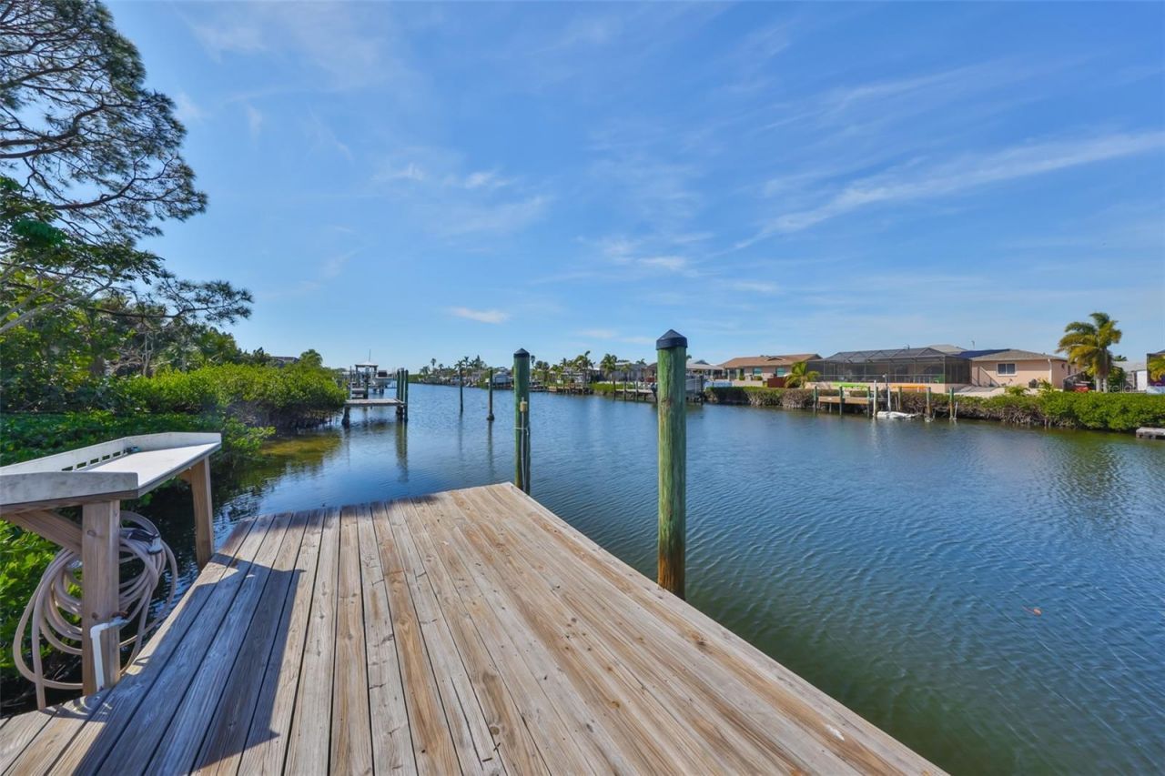 909 Birdie Way, Apollo Beach, FL 33572 Photo