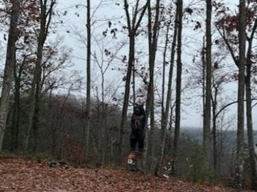 894 Heavenly Lane, Frenchburg, KY 40322