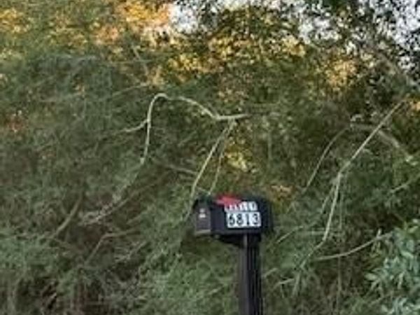 6813 Belle Fontaine Drive, Ocean Springs, MS 39564