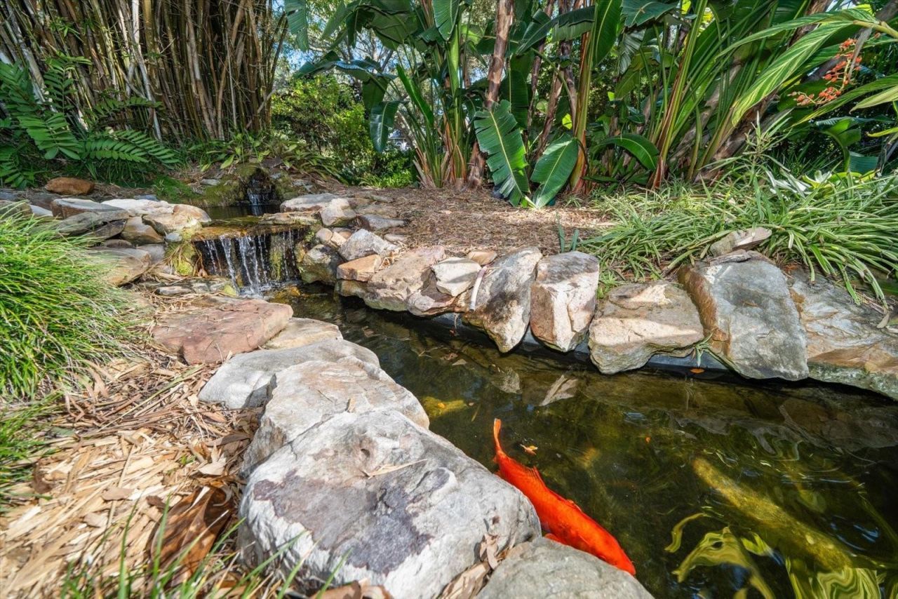 2617 Beagle Path Way, Palm Harbor, FL 34683 Photo