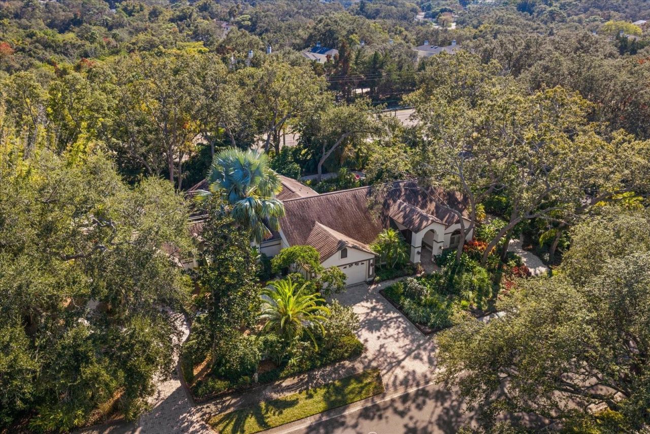 2617 Beagle Path Way, Palm Harbor, FL 34683 Photo