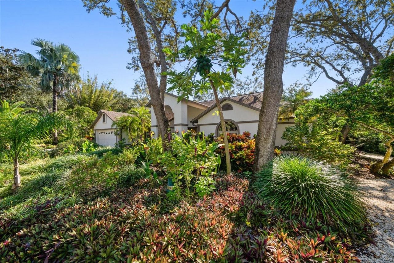 2617 Beagle Path Way, Palm Harbor, FL 34683 Photo