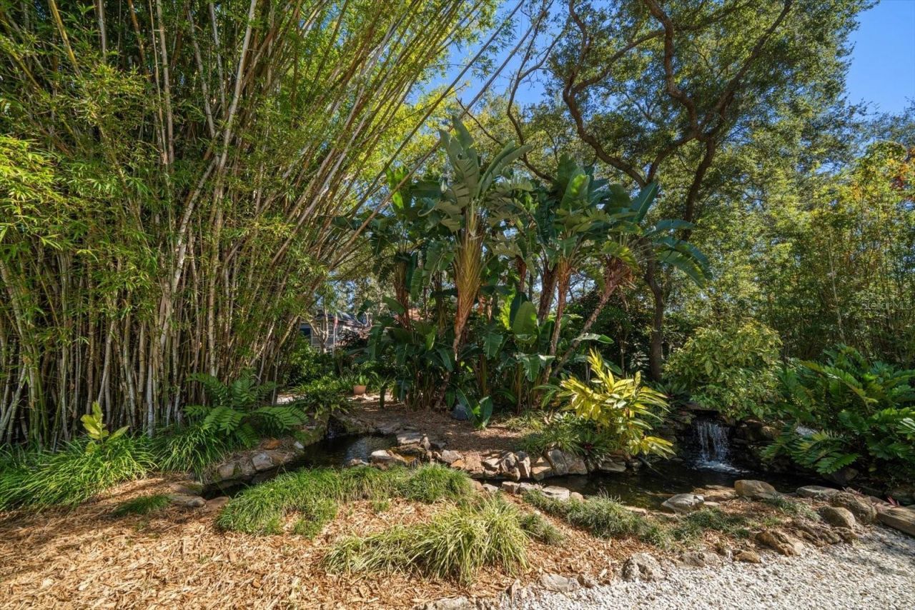 2617 Beagle Path Way, Palm Harbor, FL 34683 Photo