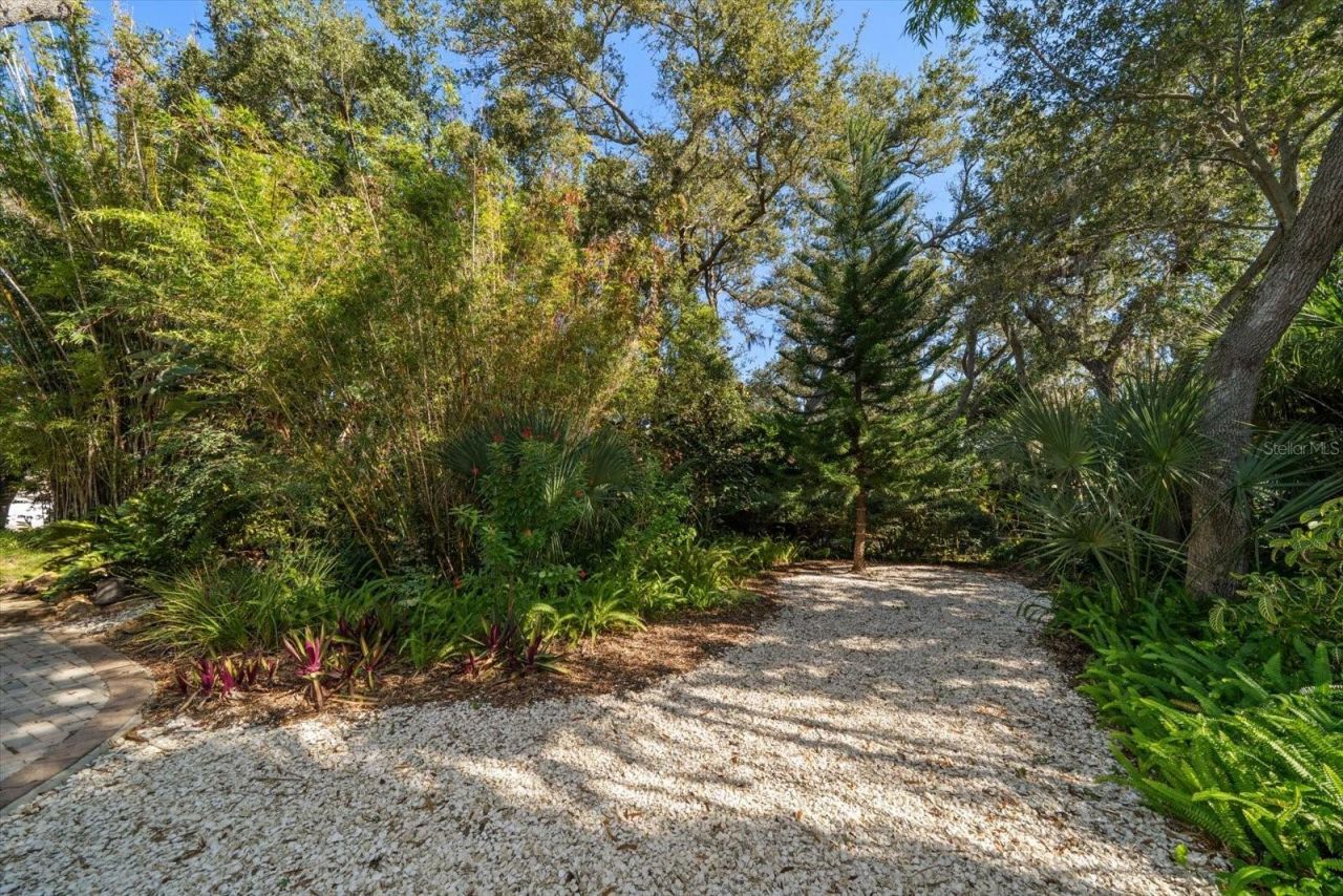 2617 Beagle Path Way, Palm Harbor, FL 34683 Photo