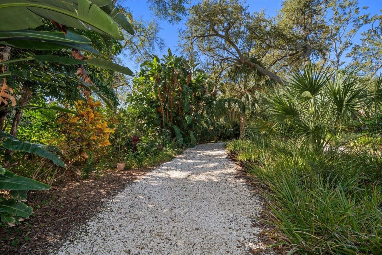 2617 Beagle Path Way, Palm Harbor, FL 34683 Photo