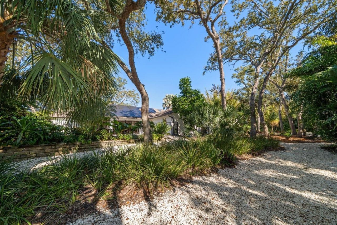 2617 Beagle Path Way, Palm Harbor, FL 34683 Photo