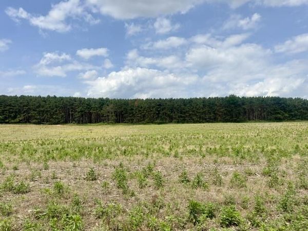 0 Seymour #E Road, Grass Lake, MI 49240