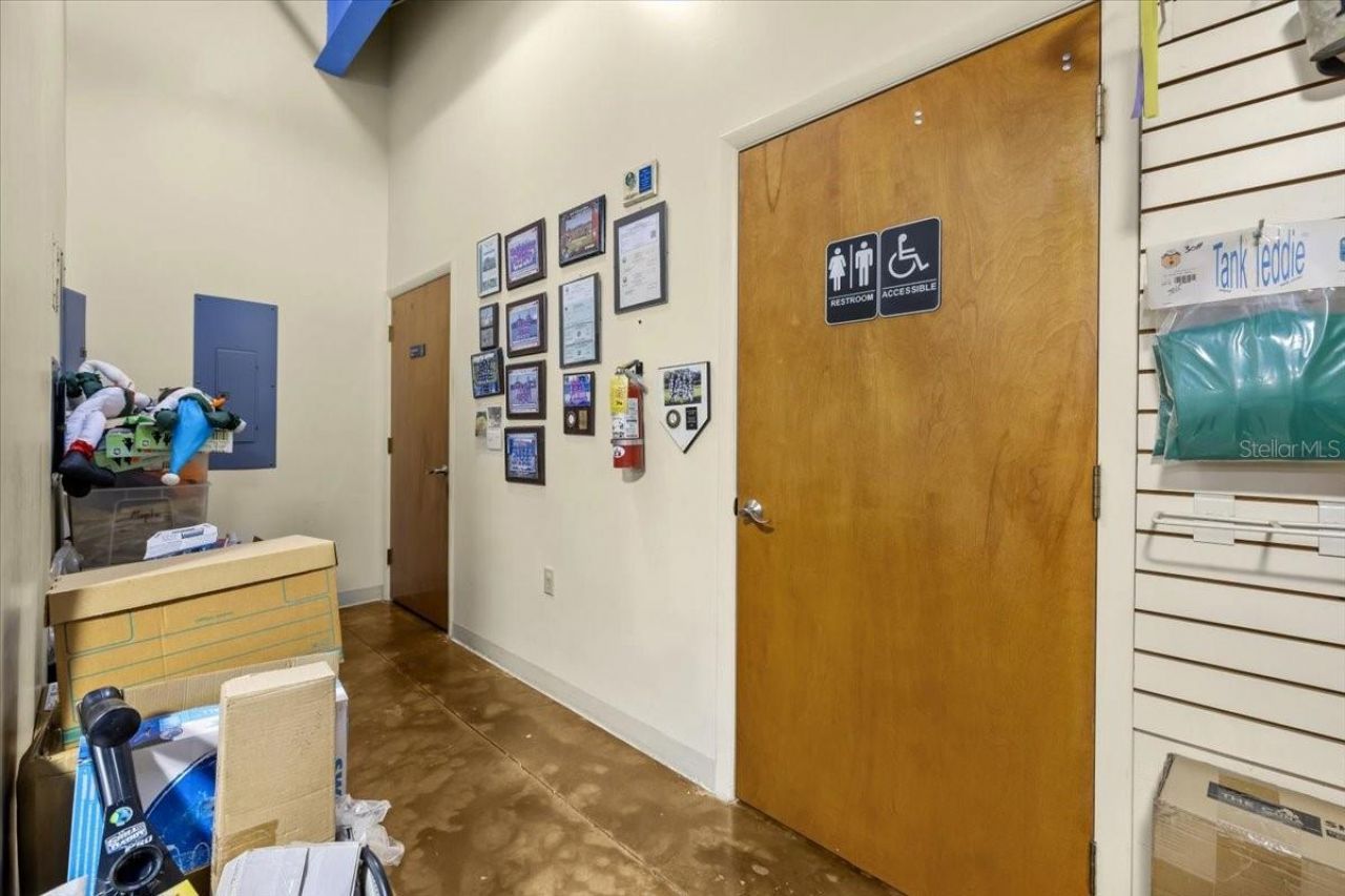 3684 Tampa Road, Unit 101, Oldsmar, FL 34677 Photo