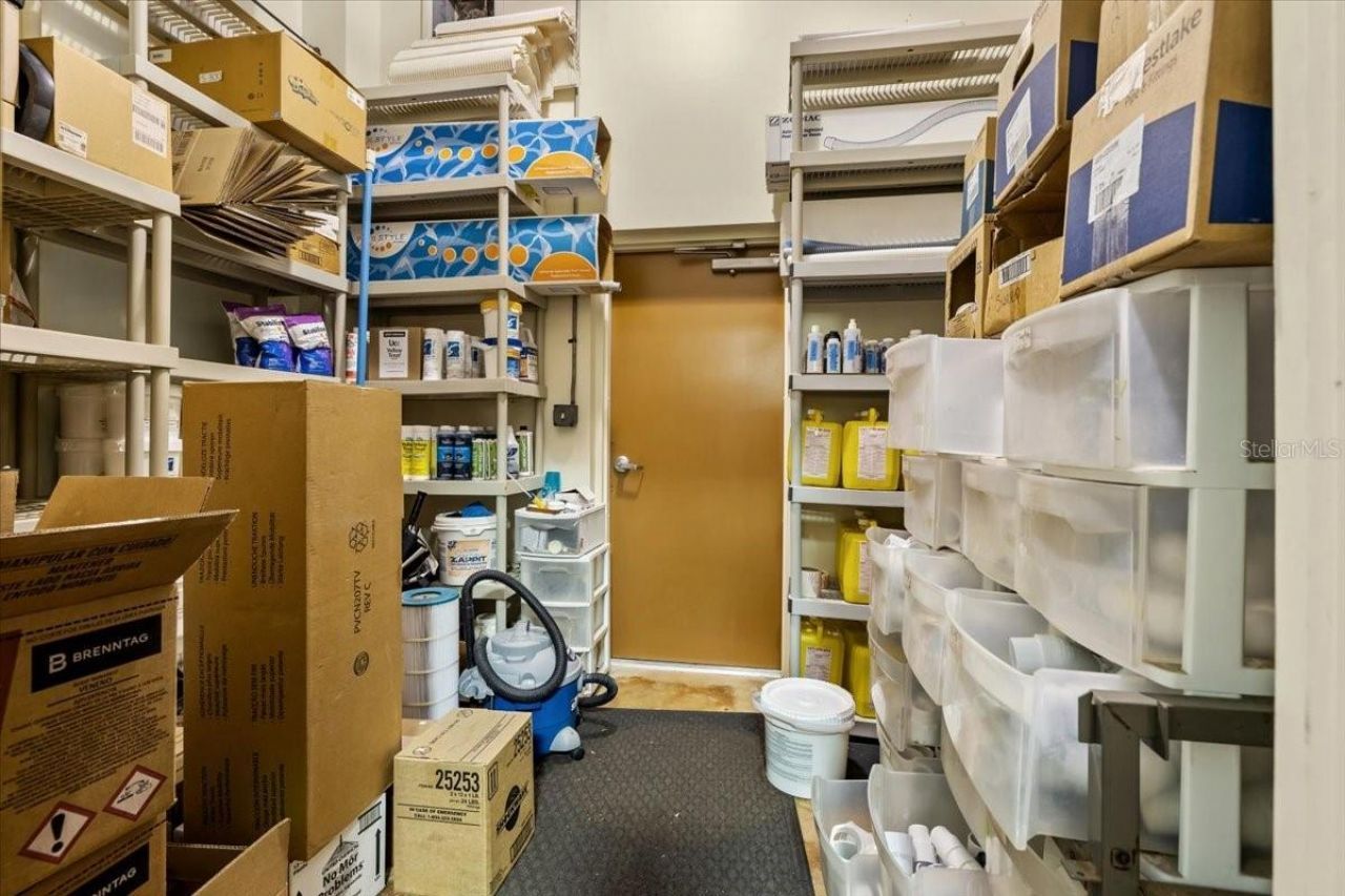 3684 Tampa Road, Unit 101, Oldsmar, FL 34677 Photo