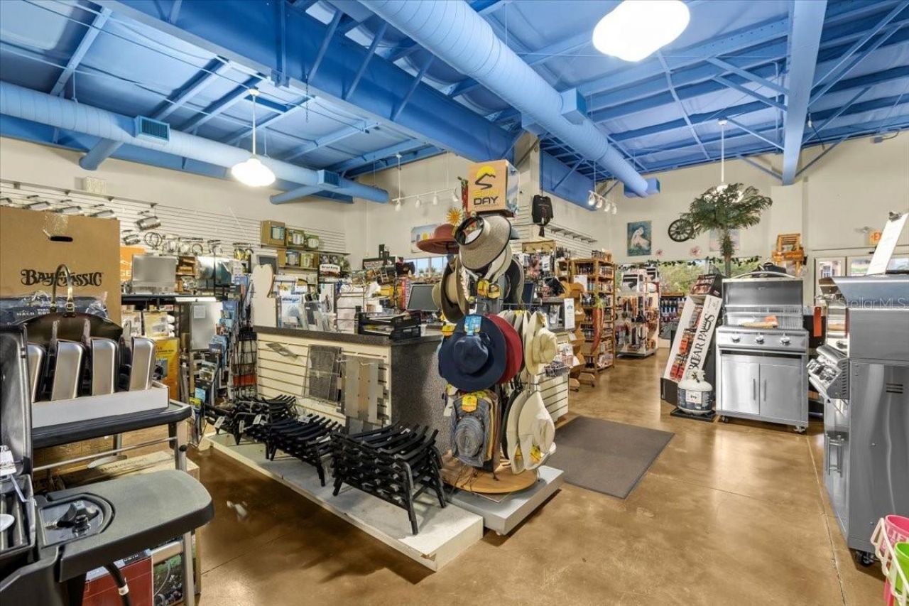 3684 Tampa Road, Unit 101, Oldsmar, FL 34677 Photo