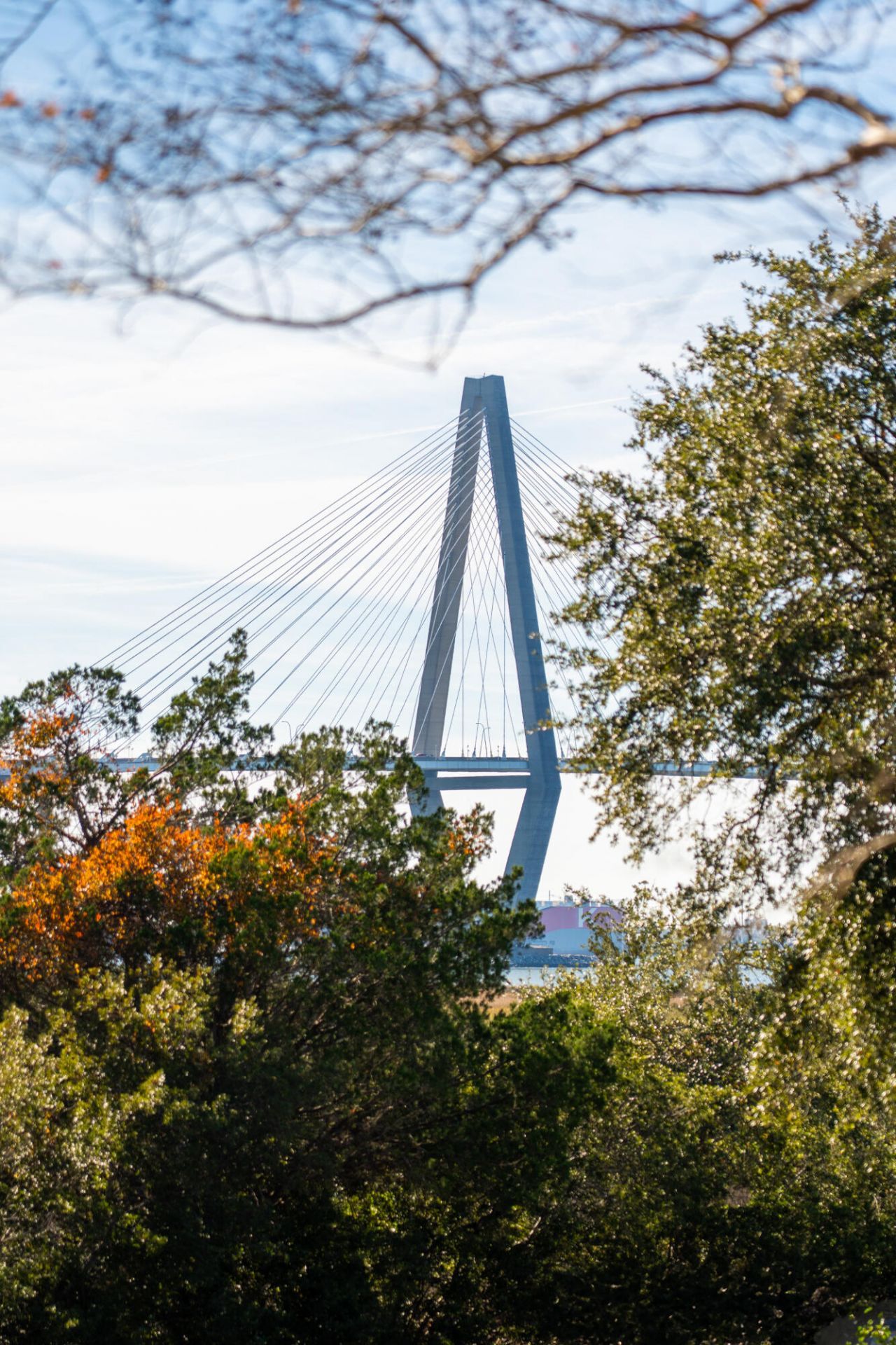 832 Fiddlers Point Lane Photo 5