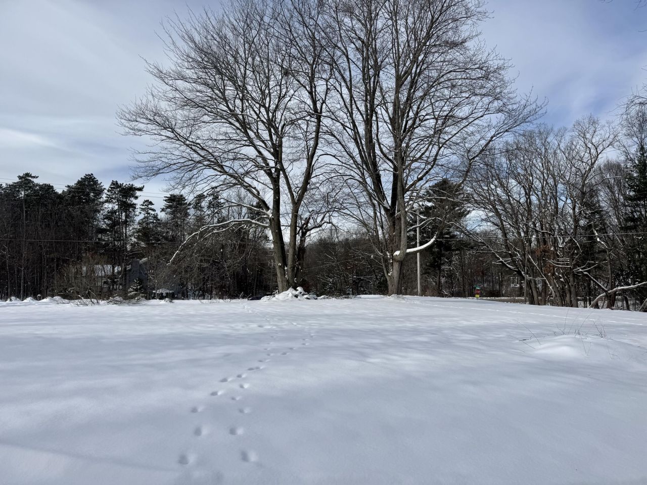 6593 134th Avenue, Saugatuck, MI 49453 Main Photo