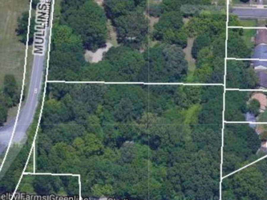 Property Image 4