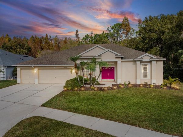 26249 SWORD DANCER DRIVE, WESLEY CHAPEL, FL 33544