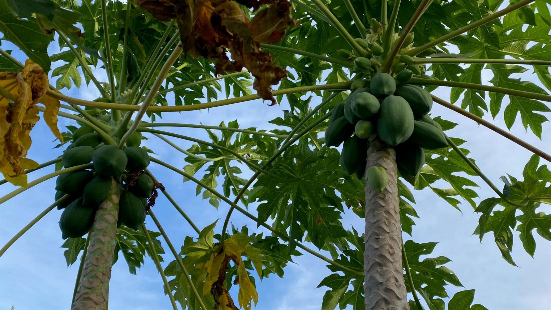 8902 SE Marina Bay Drive, Hobe Sound, FL 33455 Photo