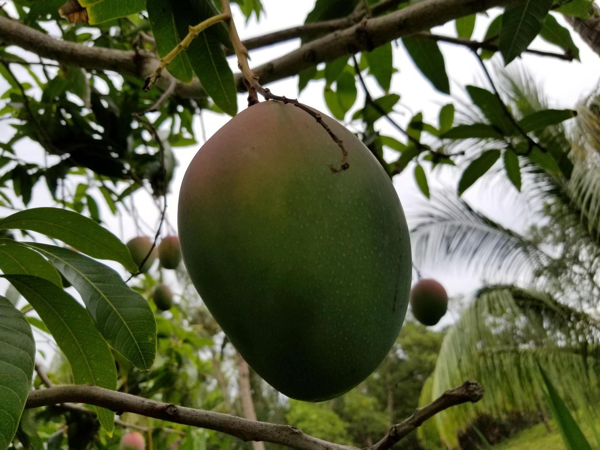 8902 SE Marina Bay Drive, Hobe Sound, FL 33455 Photo