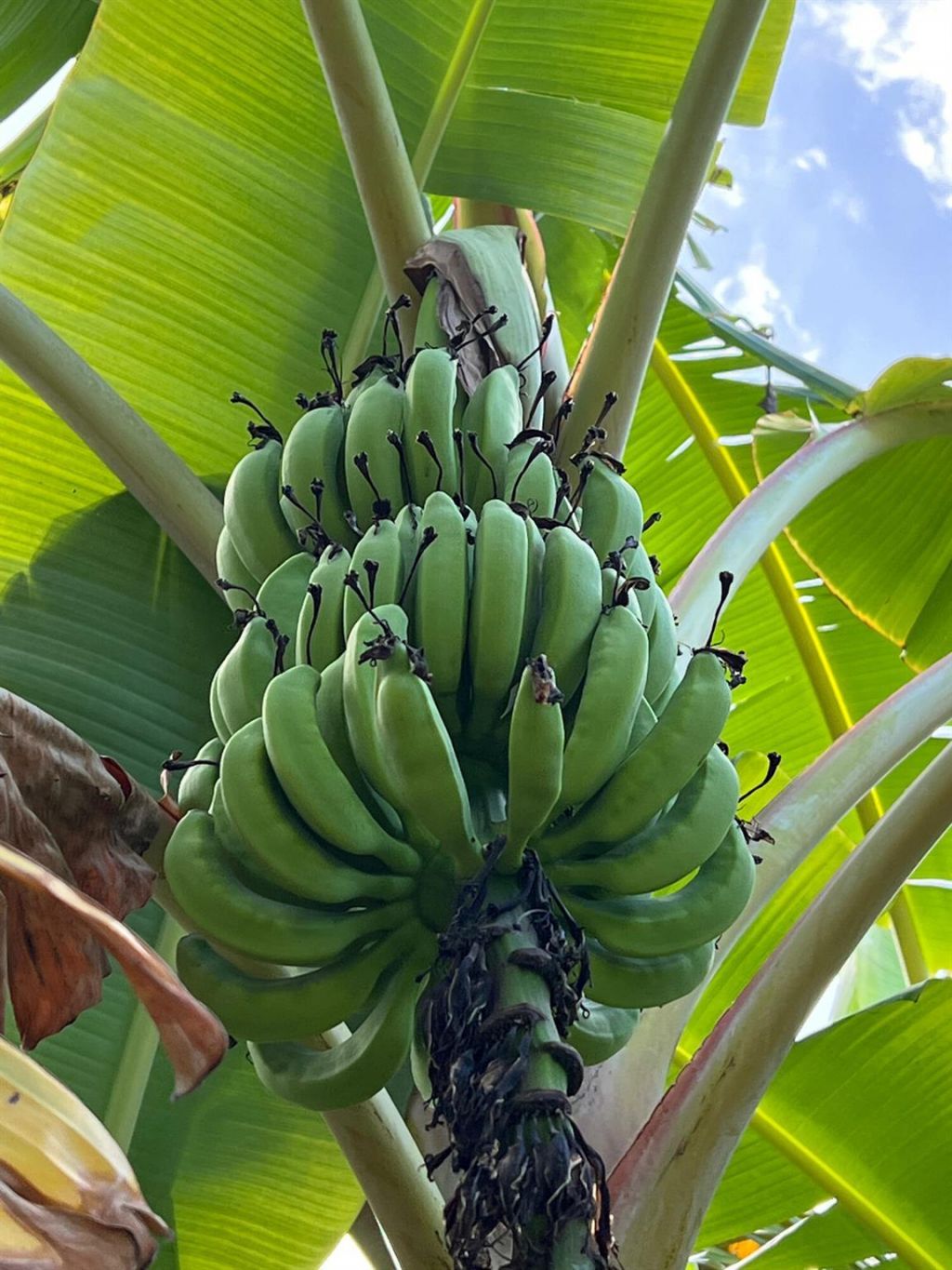 8902 SE Marina Bay Drive, Hobe Sound, FL 33455 Photo