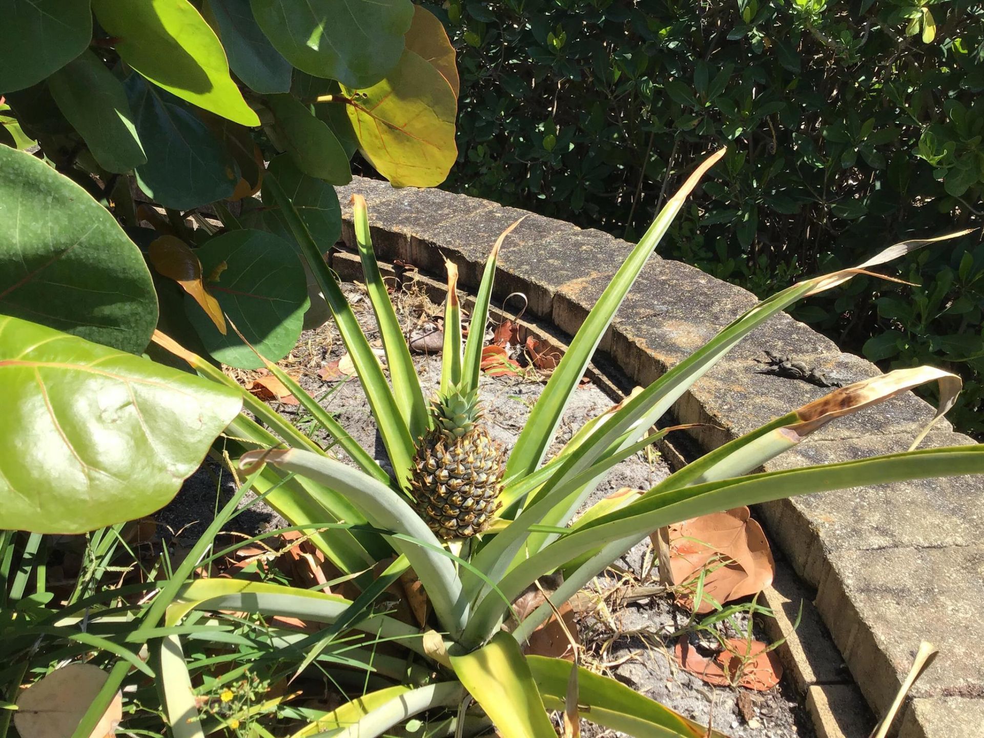 8902 SE Marina Bay Drive, Hobe Sound, FL 33455 Photo