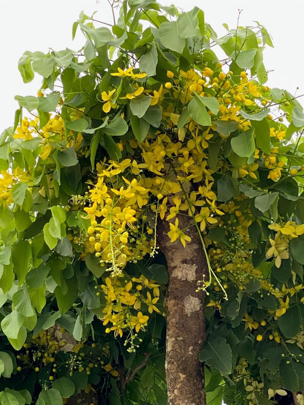 8902 SE Marina Bay Drive, Hobe Sound, FL 33455 Photo